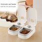 Automatic Pet Feeder