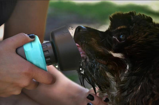 Foldable Pet Water Bottle