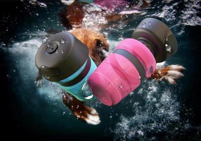 Foldable Pet Water Bottle